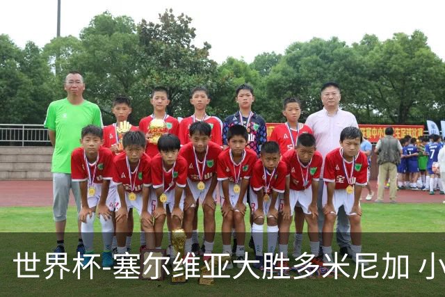 世界杯-塞尔维亚大胜多米尼加 小组第二进八强