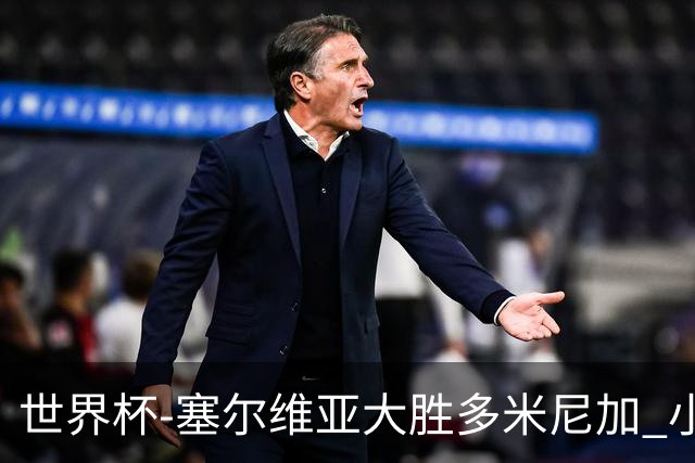 世界杯-塞尔维亚大胜多米尼加 小组第二进八强
