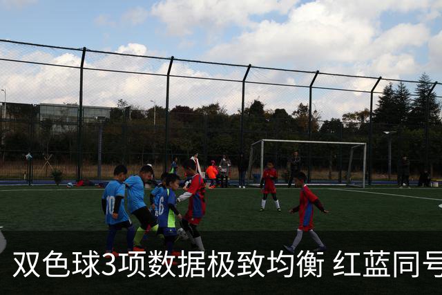 双色球3项数据极致均衡 红蓝同号或成制胜法宝