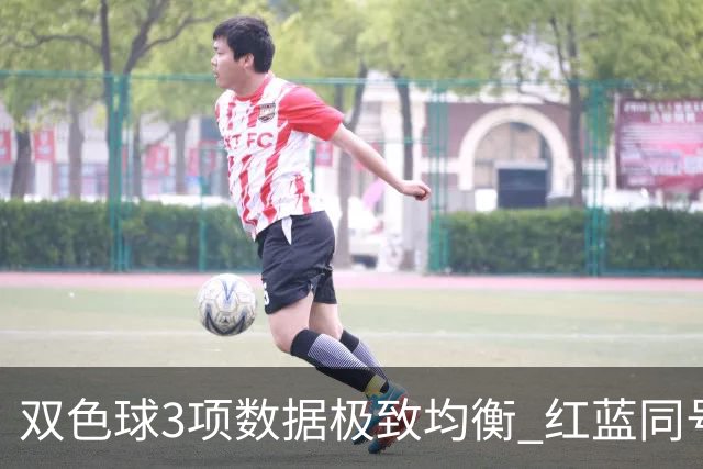 双色球3项数据极致均衡 红蓝同号或成制胜法宝